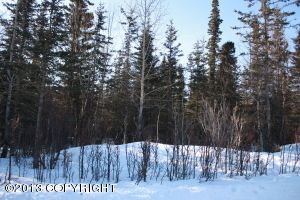 13850 E Wilderness Lane, Palmer, AK 99645 