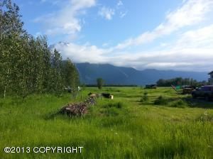 5720 S Bodenburg Loop, Palmer, AK 99645 