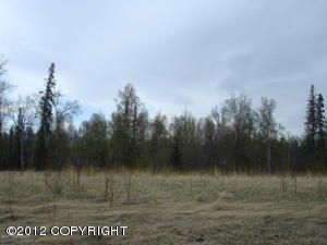 7786 E Tributary Avenue, Palmer, AK 99645 