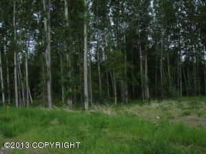 7603 E Downstream Drive, Palmer, AK 99645 
