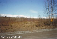 8815 E Kilkenny Drive, Palmer, AK 99645 