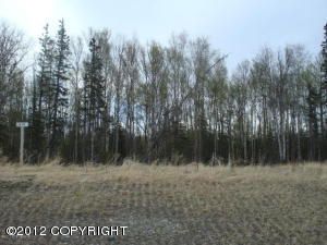 7644 E Tributary Avenue, Palmer, AK 99645 