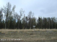 L19 B2 E Tributary Avenue, Palmer, AK 99645 