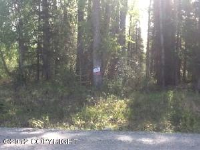 9155 N Lazer Street, Palmer, AK 99645 