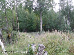 23199 E Knik River Road, Palmer, AK 99645 