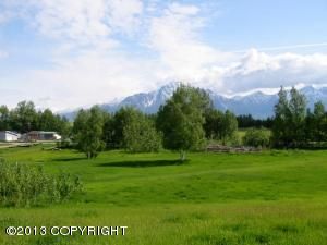 L3 Scott Road, Palmer, AK 99645 
