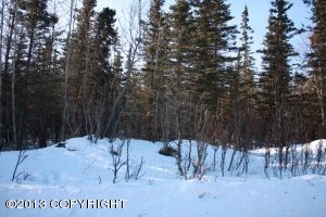 13818 E Wilderness Lane, Palmer, AK 99645 