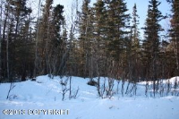 13818 E Wilderness Lane, Palmer, AK 99645 