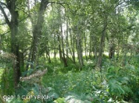 13438 E Oceanview Road, Palmer, AK 99645 