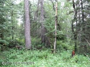 9405 E Douglas Street, Palmer, AK 99645 