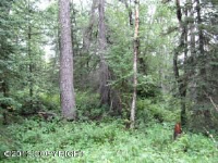 9405 E Douglas Street, Palmer, AK 99645 