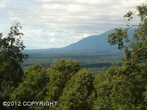 D002 No Road, Palmer, AK 99645 