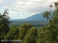 D002 No Road, Palmer, AK 99645 