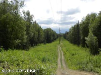 L2 Herman, Palmer, AK 99645 