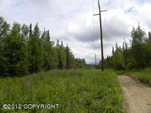 L5 E Herman, Palmer, AK 99645 