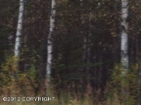 15715 E Barwood Avenue, Palmer, AK 99645 