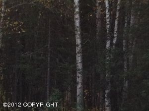 15744 E Barwood Avenue, Palmer, AK 99645 