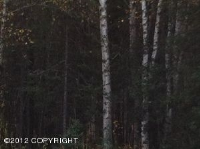 15744 E Barwood Avenue, Palmer, AK 99645 