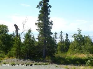 000 Keno Hills Addition #9, Anchorage, AK 99516 