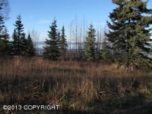 2803 Marston Drive, Anchorage, AK 99517 