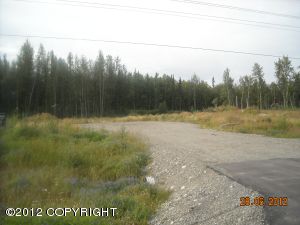 4121 E Carefree Drive, Wasilla, AK 99654 