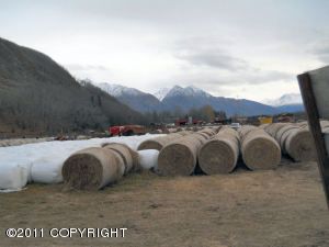 23581 W Reddane Avenue, Wasilla, AK 99654 