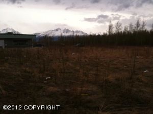 1301 E Palmer-Wasilla Highway, Wasilla, AK 99654 