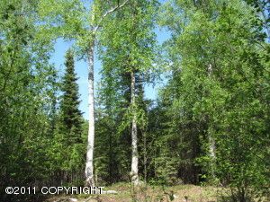 B001 W Blue Goose Drive, Wasilla, AK 99654 