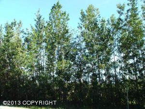 1035 E Westpoint Drive, Wasilla, AK 99654 