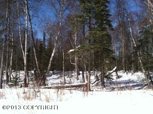 D004 E Aspen Ridge Road, Wasilla, AK 99654 