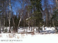 D004 E Aspen Ridge Road, Wasilla, AK 99654 