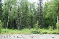 10480 E Snowgoose Circle, Palmer, AK 99654 