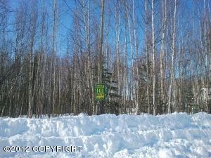 2514 N Larry Trail, Wasilla, AK 99654 