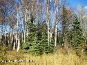 397 W Dorthy Drive, Wasilla, AK 99654 