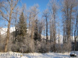 L4 B1 Girdwood Place, Girdwood, AK 99587 