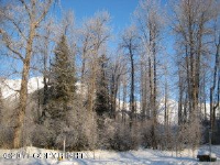 L4 B1 Girdwood Place, Girdwood, AK 99587 