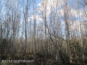 4050 S Well Site Road, Wasilla, AK 99654 