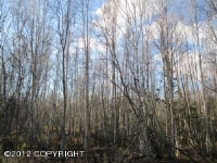 4050 S Well Site Road, Wasilla, AK 99654 