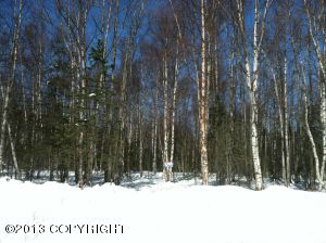 C005 N Engstrom Road, Wasilla, AK 99654 