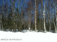 C005 N Engstrom Road, Wasilla, AK 99654 