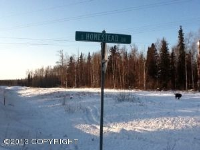 11256 S Homestead Drive, Wasilla, AK 99654 