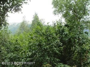 24400 Coleman Circle, Eagle River, AK 99577 