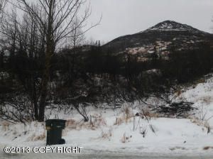 L1 B3 Echo Canyon Street, Anchorage, AK 99516 