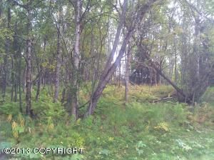 L15 B1 SIERRA MESA Circle, Chugiak, AK 99567 