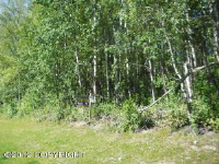 6611 W Hemmer Drive, Wasilla, AK 99654 