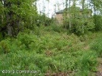 L14 BB Hannahs Court, Anchorage, AK 99516 