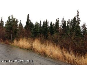 L17A B5H Byron Drive, Anchorage, AK 99516 