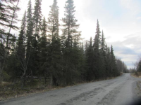 751 Cahill Lane, Soldotna, AK 99669 