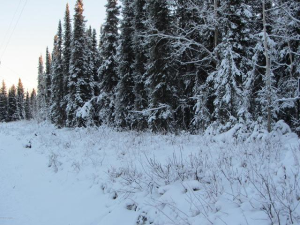 L4 B2 Rio Gracioso Lane, Soldotna, AK 99669 