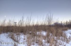 831 N Back Eddy Circle, Palmer, AK 99645 